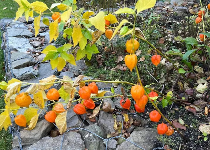 شاليه Malinowa 6 - W Szczyrku Z Sauna I Balia - Platne Dodatkowo